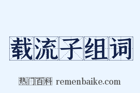 载流子组词是什么意思的图片